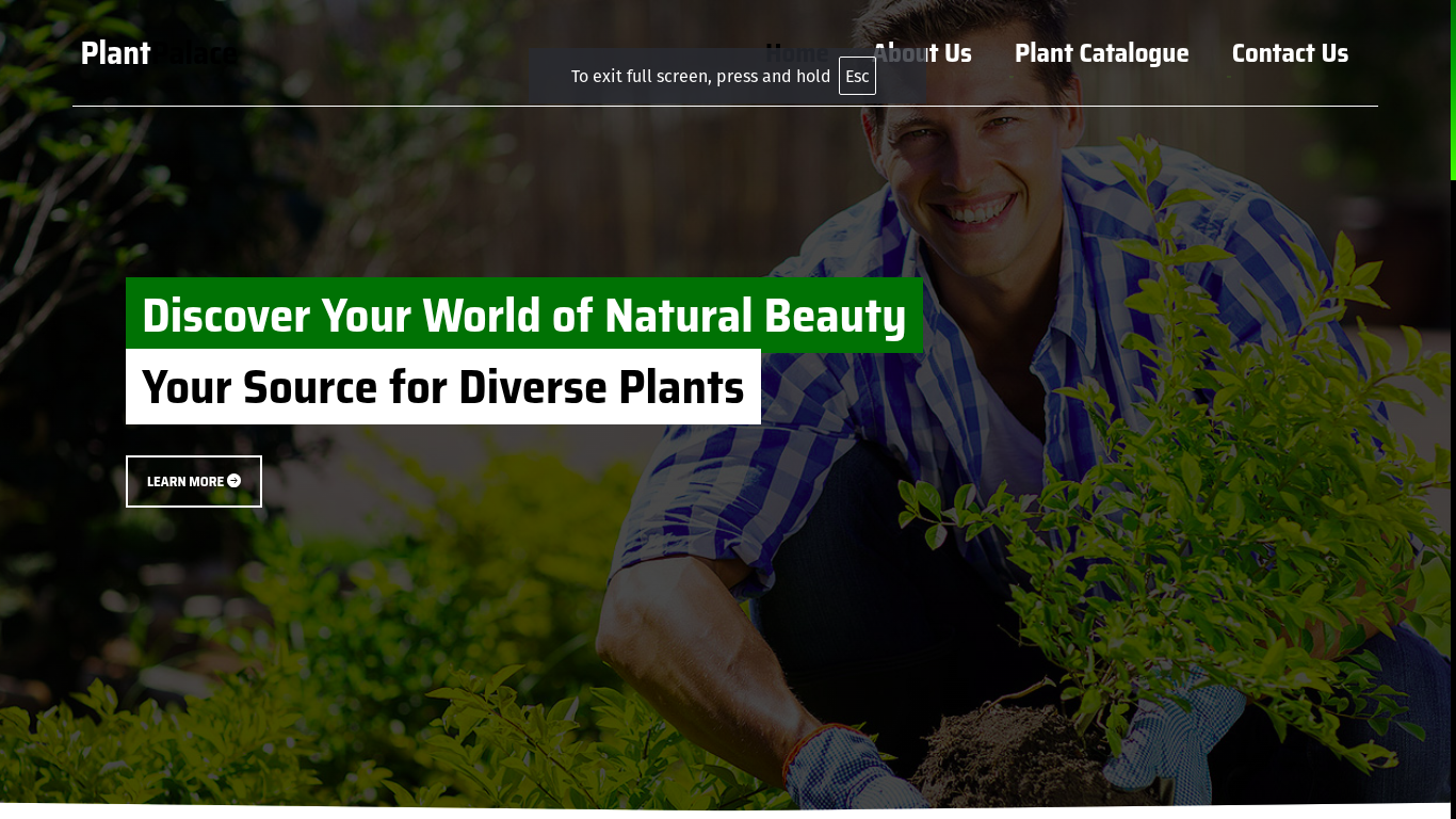 Plant Palace project screenshot